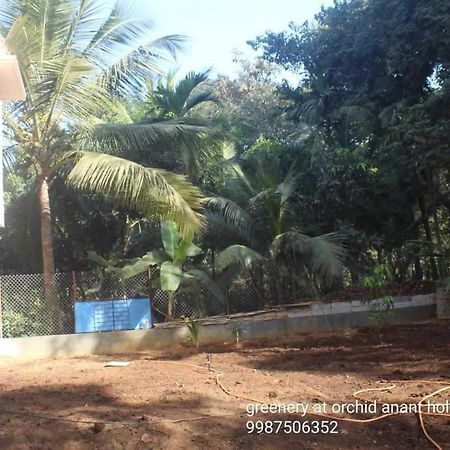 Orchid Anant Holidays آليباغ المظهر الخارجي الصورة